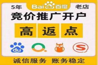 竞价端口开户后的广告投放策略案例